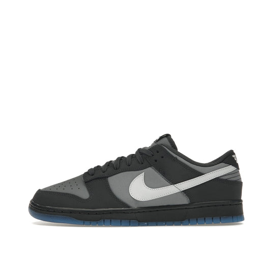 Nike Dunk Low sneakers, side view, model FV0384-001 in anthracite with black and grey details.